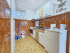 a kitchen with a sink and a dishwasher at Centar Apartman in Apatin