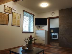 a living room with a table and a kitchen at Minija Stay Priekule 1925 in Priekulė +30 photos