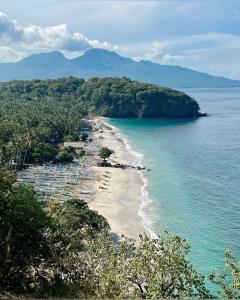 an aerial view of a beach with trees and the ocean at Villa Suari I in Padangbai