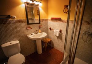 a bathroom with a sink and a toilet and a shower at La Casa de los Templarios in Puebla de Alcocer +28 photos