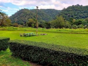 a park with a bench and a picnic table in a field at ดอยล้อมฟาร์มสเตย์ in Ban Muang Kut