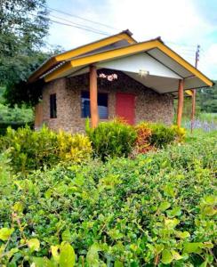 a house with a red door in a field of bushes at ดอยล้อมฟาร์มสเตย์ in Ban Muang Kut