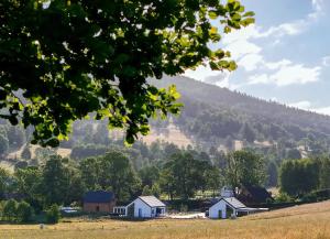 a village with houses and a mountain in the background at Białe Domy - Stronie Śląskie in Stronie Śląskie