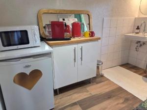 a kitchen with a microwave on top of a refrigerator at Charmante Waldrandidylle in Kreuzlingen