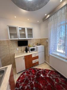 a kitchen with a red rug on the floor at Kaira place in Lupeni