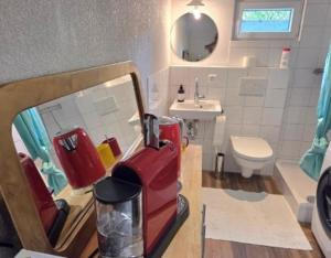 a small bathroom with a toilet and a sink at Charmante Waldrandidylle in Kreuzlingen