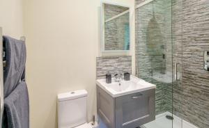 ein Badezimmer mit Toilette, Waschbecken und Dusche in der Unterkunft 1 Pheasant in East Ilsley + 15 Fotos