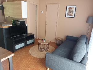 a living room with a blue couch and a microwave at La petite maison 34 in Waulsort +14 photos