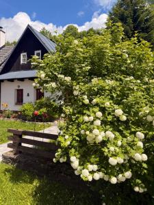 a bush of white roses in front of a house at Rozpravkový Domček Zvonček in Donovaly