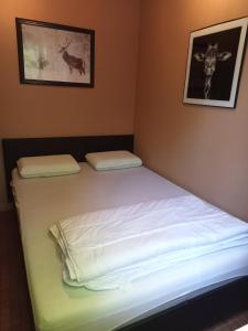 a bed in a bedroom with two pillows on it at La petite maison 34 in Waulsort