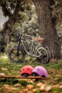 a small bike parked next to a tree with helmets at Cork Valley - Mirror Houses in Hontanar