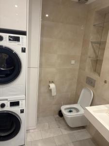 a bathroom with a washing machine and a toilet at W Dolinie in Małkowice