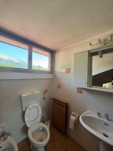 a bathroom with a toilet and a sink and a mirror at La Mansarda del Vecchio Mulino in Entracque