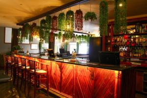 a bar with a bunch of plants on the wall at Platrand Lodge in Ladysmith