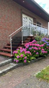 a bunch of flowers in front of a building at Haus Sonnenwest in Rosengarten