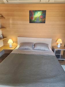 ein Schlafzimmer mit einem großen Bett und zwei Lampen in der Unterkunft Central, big terrace, near river in Timişoara