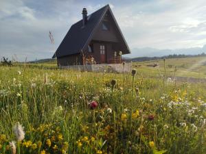 a house in the middle of a field of flowers at Brown cabin in Žabljak