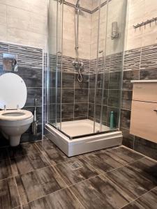 a bathroom with a shower and a toilet at Prenoćište Nikolić in Negotin