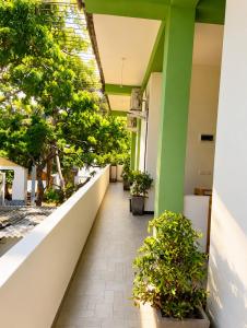 an empty corridor in a building with plants at Eagle Resort Arugambay in Arugam Bay