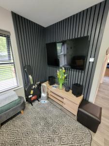 a living room with a couch and a television at Rose Cottage Clonmel in Clonmel +2 photos