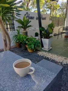 a cup of coffee sitting on a table with plants at บ้านสวนริมทาง in Ban Pha Saeng Lang