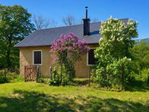 a house with a flowering tree in front of it at Kuca za odmor Lipa in Sinac