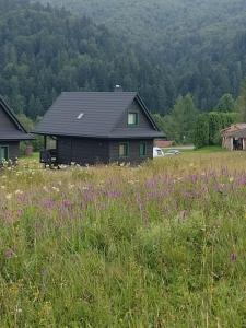 a house in the middle of a field with purple flowers at Domki BIERWIONO in Cisna