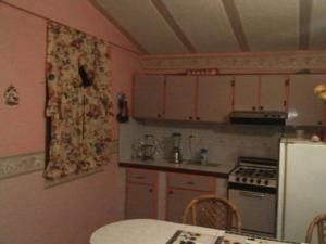 a small kitchen with a stove and a refrigerator at Romervic vacational apartments in Juangriego