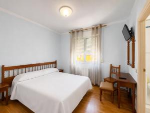a bedroom with a bed and a desk and a television at Hostal ** EC León in León