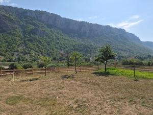 a field with trees in front of a mountain at Willage camp i auto camp KOMARNICA in Šavnik