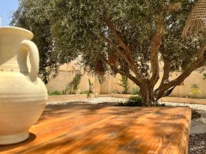 a vase sitting on a wooden table next to a tree at Dar Younes in Houmt Souk