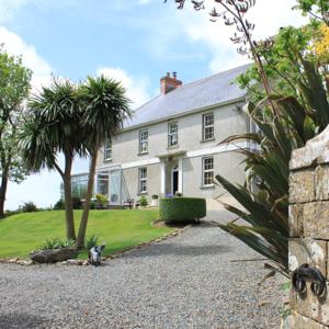 a cat sitting in front of a house at Ty Llwyd in Treffynnon 