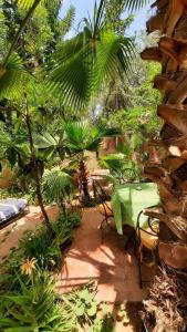 a patio with a green table and chairs in a garden at DAR OUZOUD Vegan in Ouzoud