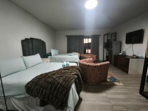 a hotel room with two beds and a television at Maphango Farms BnB in Alice +5 photos