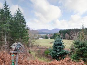 a bird house in the middle of a field at Park Lodge in Strachan