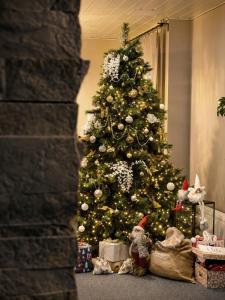 Mynd úr myndasafni af Hotel Boreas í Rovaniemi
