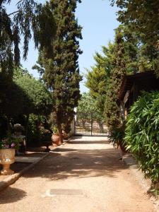 a pathway with trees and a gate in a yard at Gallery Basement in Villa Vravrona in Markopoulo