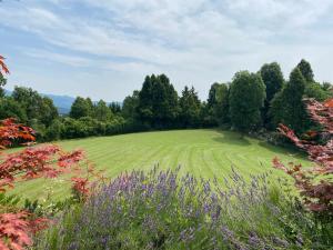 a large green field with trees and flowers at Hide Away in a Private Countryside Villa in Prestranek