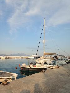 Gallery image of Orange Horizon in Kiaton