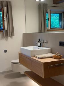 a bathroom with a sink and a toilet and a mirror at Das versteckte Nest in Seeon-Seebruck