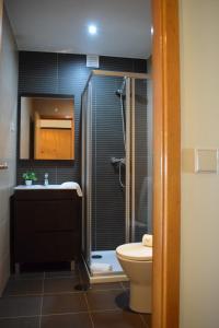a bathroom with a shower and a toilet and a sink at Casa do Pirata by GuestPro in Matosinhos