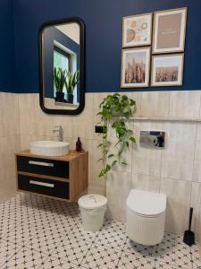 a bathroom with a sink and a toilet and a mirror at Ośrodek Wypoczynkowo Sportowy Pod Żurawiem Ap 3 in Karolewo