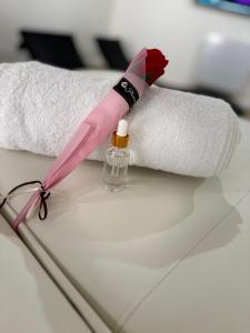 a pink pen sitting on top of a roll of paper towels at House-Evasion in Tuchan