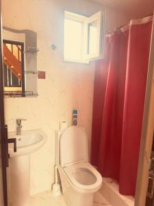 a bathroom with a toilet and a sink and a red shower curtain at Pine House Borjomi , Mountain View in Borjomi +11 photos