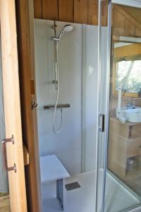 a shower with a glass door next to a sink at Boeren glamping De Ruif De Peppelhoeve in Stoutenburg