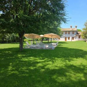 a group of umbrellas and chairs under a tree at Locanda Livenza camere in Motta di Livenza