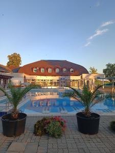 a large building with a swimming pool and palm trees at Móra Corner Apartman Mezőkövesd in Mezőkövesd