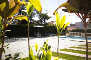 a swimming pool with a table and an umbrella at Dom Ravello in Telêmaco Borba