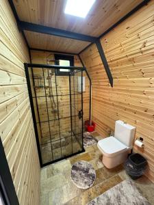 a bathroom with a toilet in a wooden wall at Deniz Üstü Bungalov in Fındıklı +28 photos