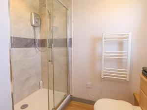a bathroom with a shower and a toilet at Snowy Owl Barn in Shipdham